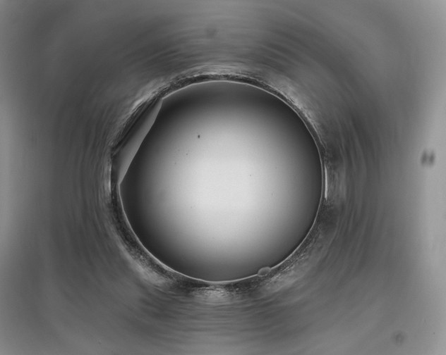 X0000097910253200803141425