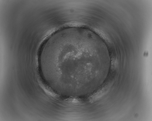 X0000097910254200803141425