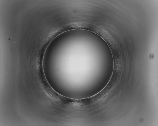 X0000097910255200803141425