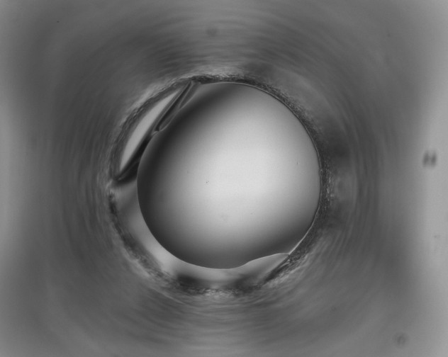 X0000097910256200803141425