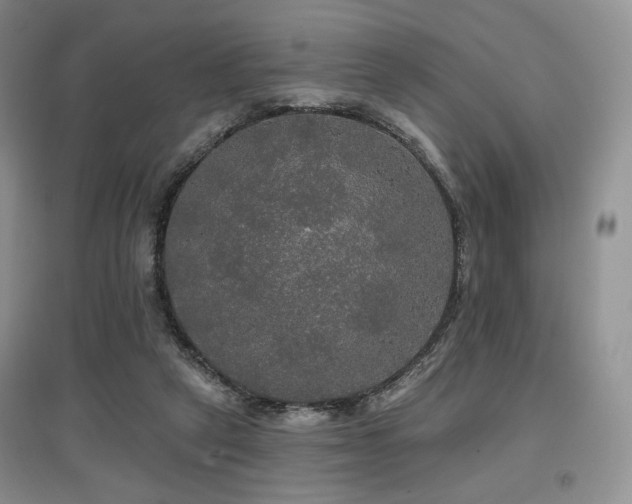 X0000097910257200803141425