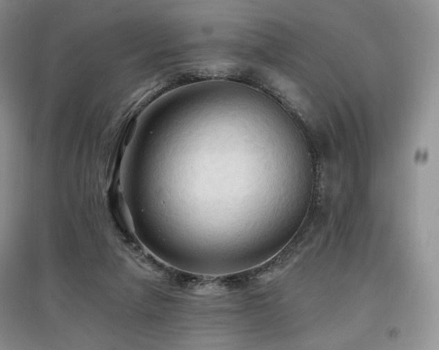 X0000097910258200803141425