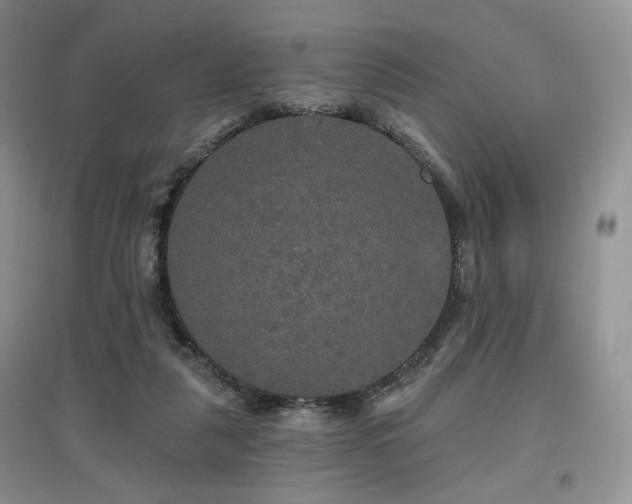 X0000097910259200803141425