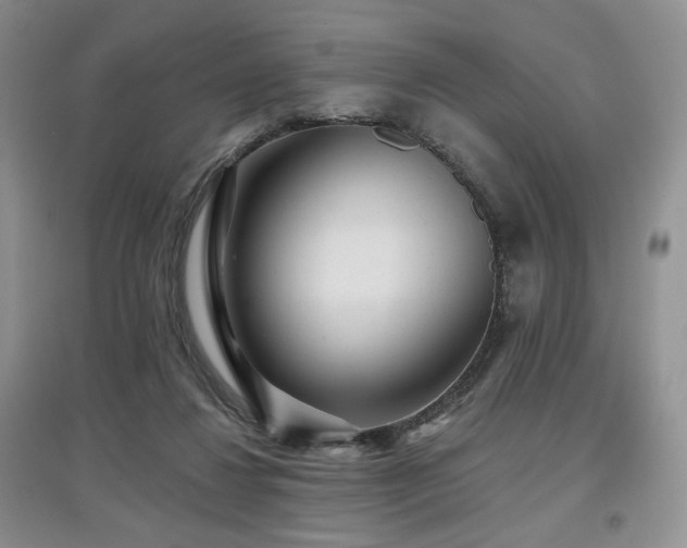 X0000097910260200803141425