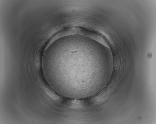 X0000097910261200803141425