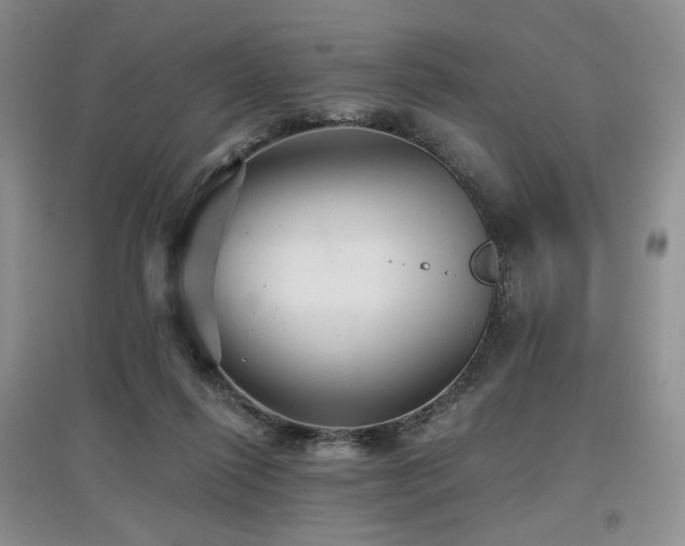 X0000097910262200803141425