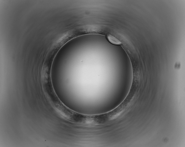 X0000097910264200803141425