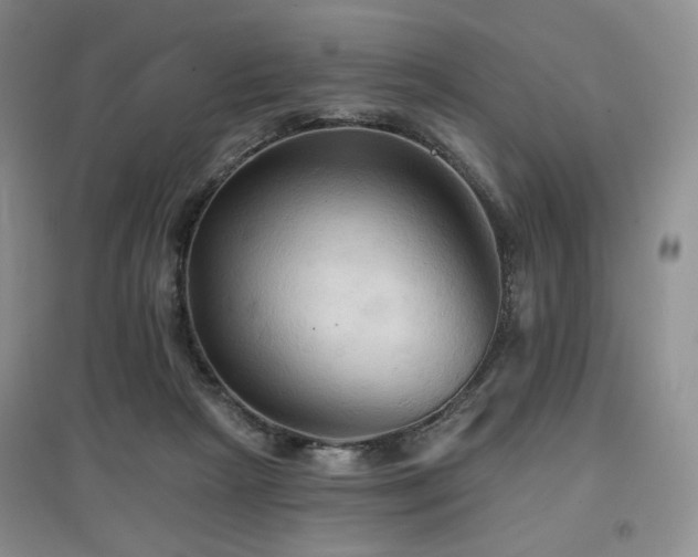 X0000097910265200803141425