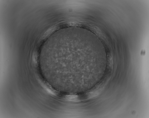 X0000097910266200803141425