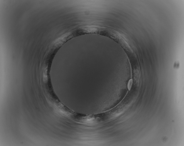 X0000097910267200803141425