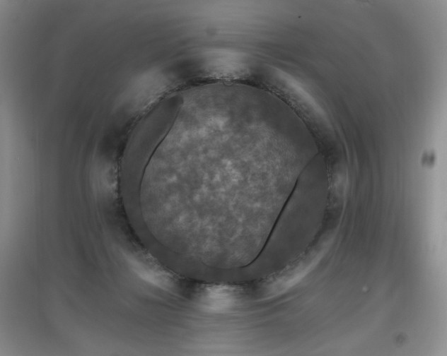 X0000097910268200803141425