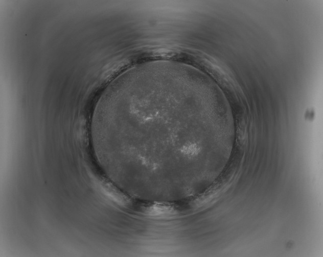 X0000097910270200803141425