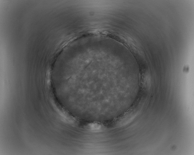 X0000097910272200803141425