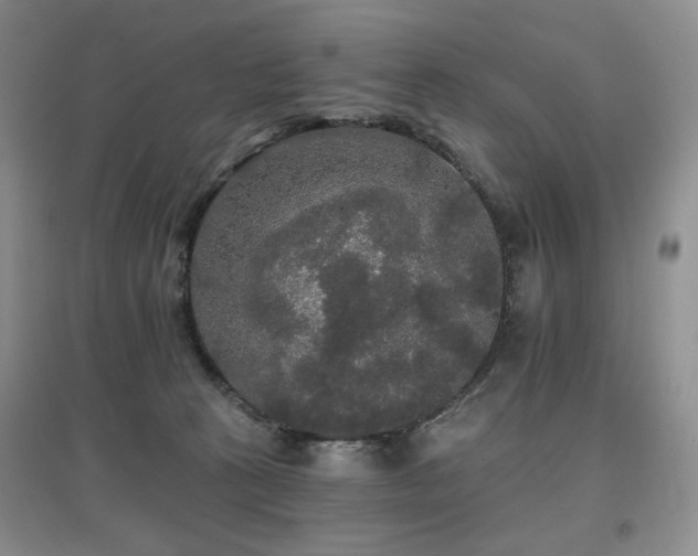 X0000097910273200803141425