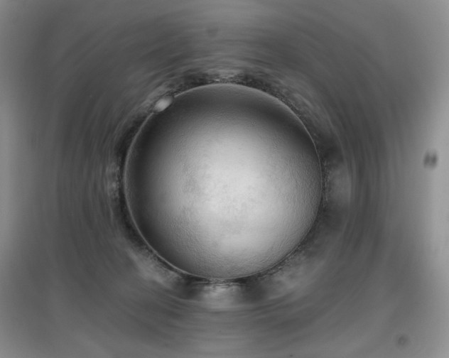 X0000097910274200803141425