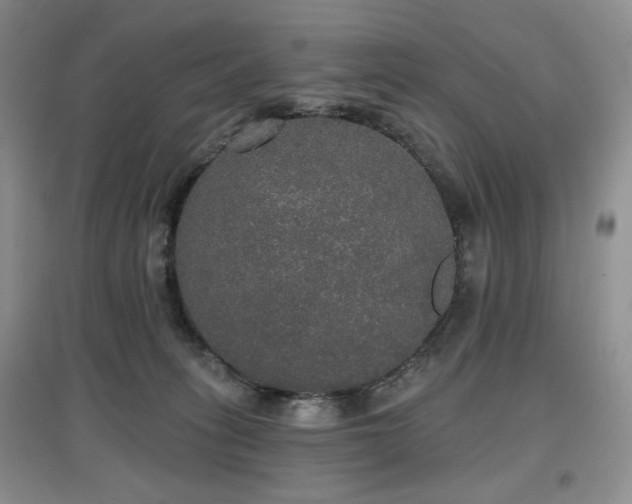 X0000097910275200803141425