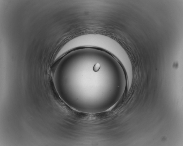 X0000097910276200803141425