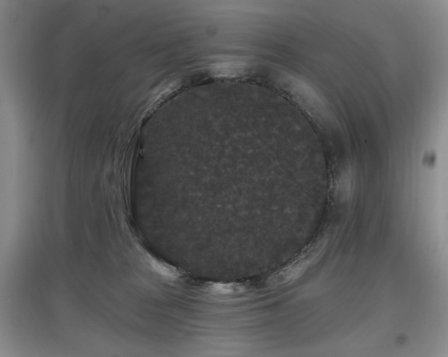 X0000097910277200803141425