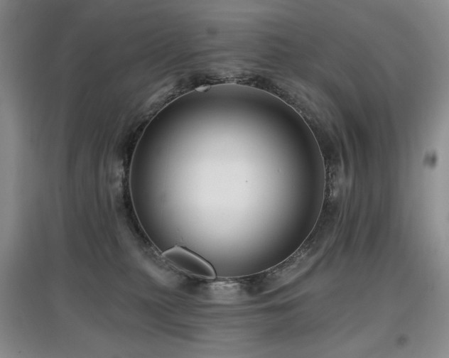 X0000097910279200803141425