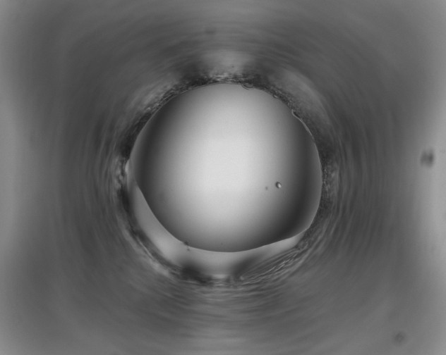 X0000097910280200803141425