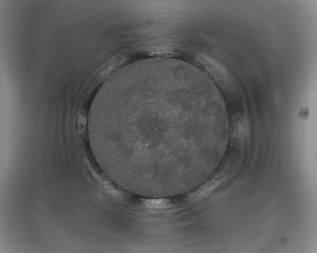 X0000097910281200803141425