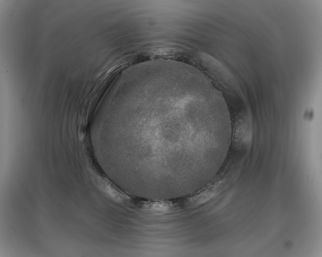 X0000097910282200803141425