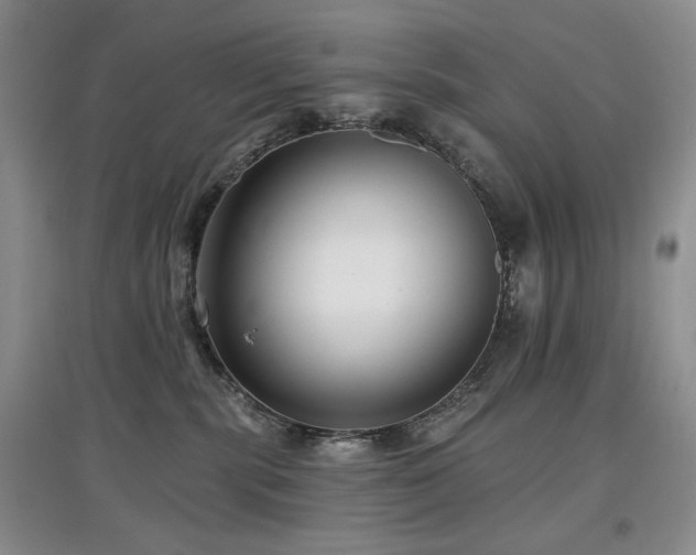 X0000097910283200803141425