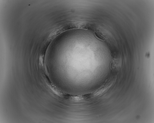 X0000097910286200803141425