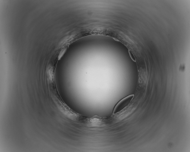 X0000097910287200803141425