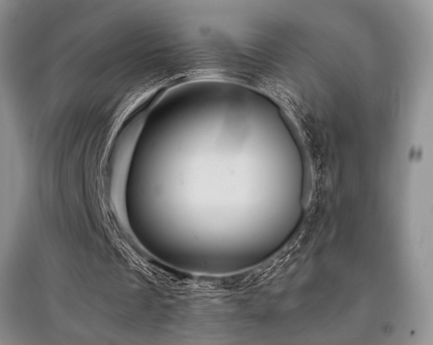 X0000097910289200803141425