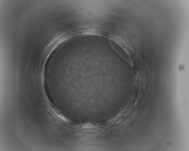 X0000097910290200803141425