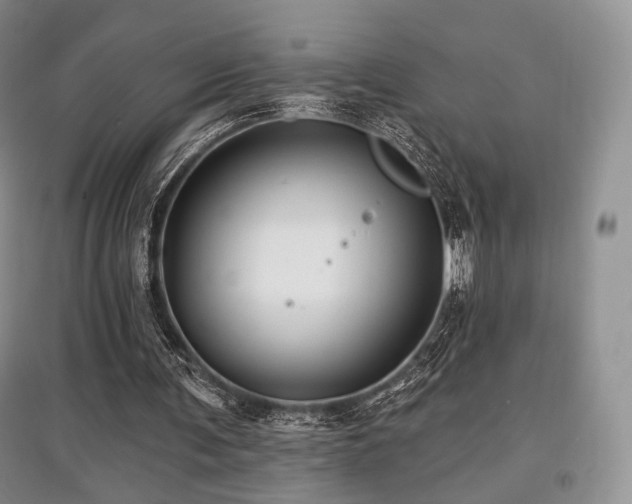 X0000097910291200803141424