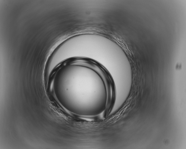 X0000097910292200803141424