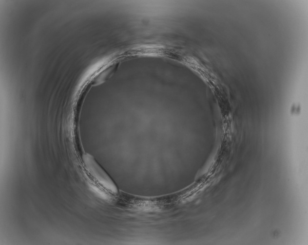 X0000097910293200803141424