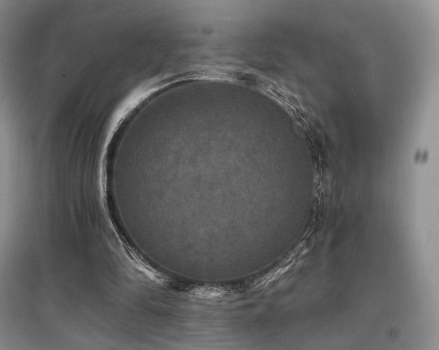 X0000097910294200803141424