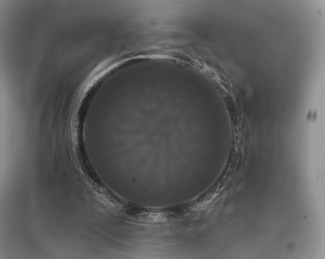 X0000097910295200803141424