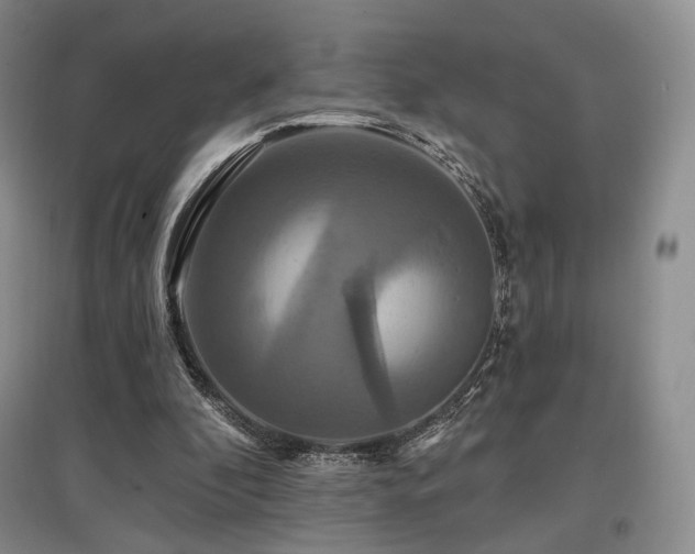 X0000097910296200803141424