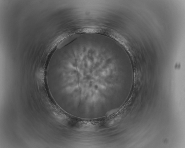 X0000097910297200803141424