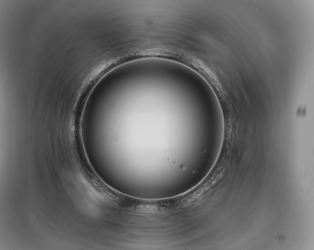 X0000097910298200803141424