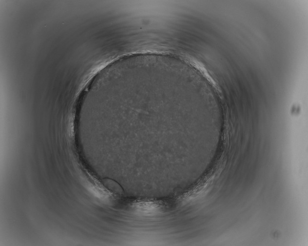 X0000097910299200803141424