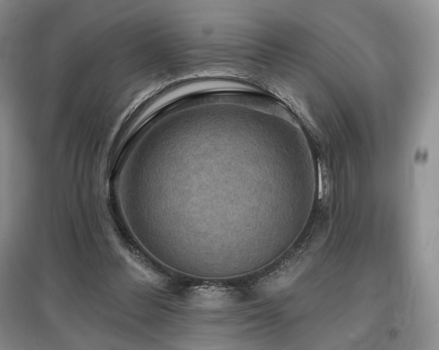 X0000097910300200803141424