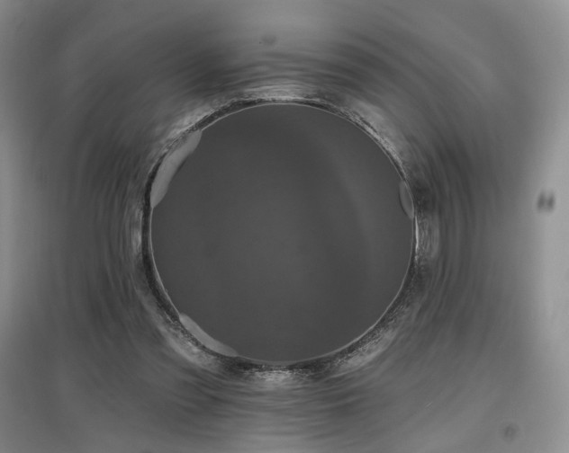 X0000097910301200803141424