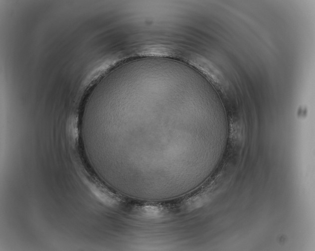 X0000097910302200803141424