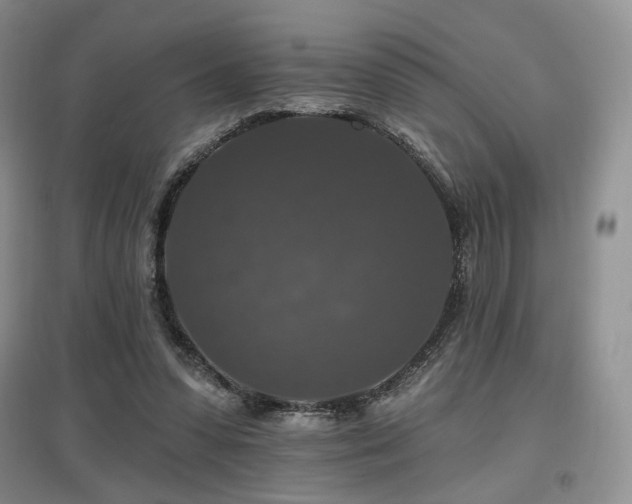 X0000097910303200803141424