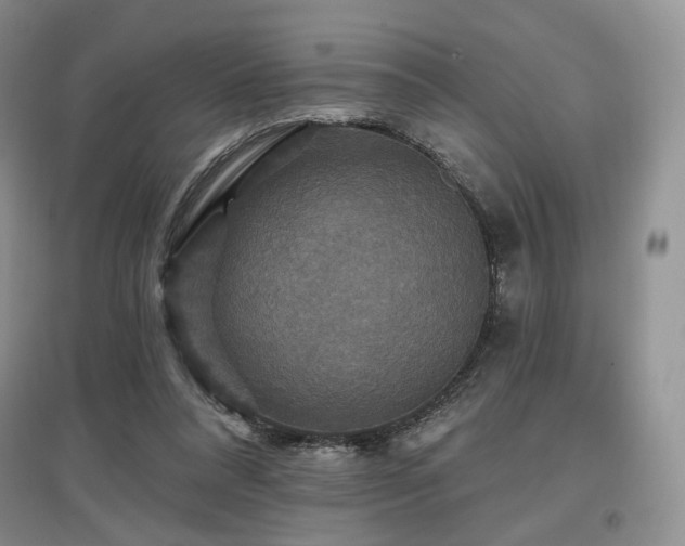 X0000097910304200803141424