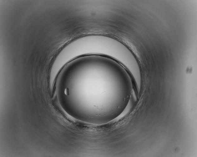 X0000097910305200803141424