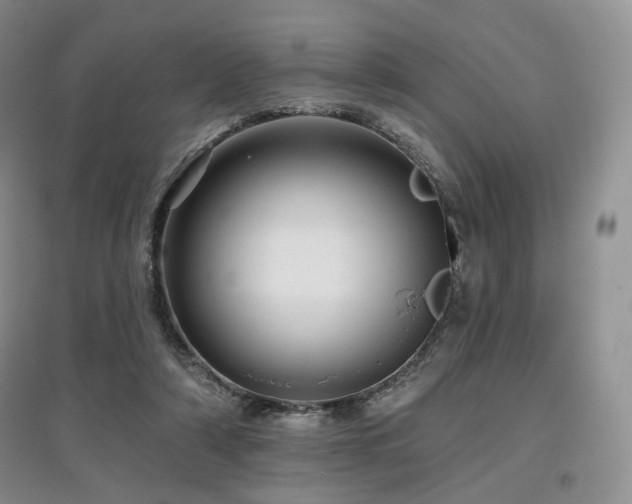 X0000097910306200803141424