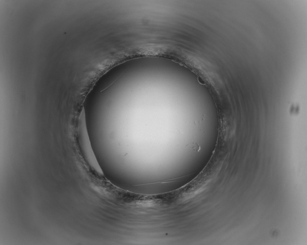 X0000097910307200803141424