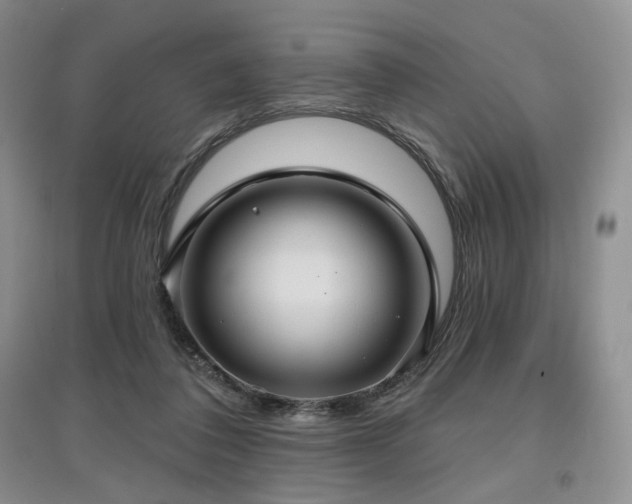 X0000097910308200803141424