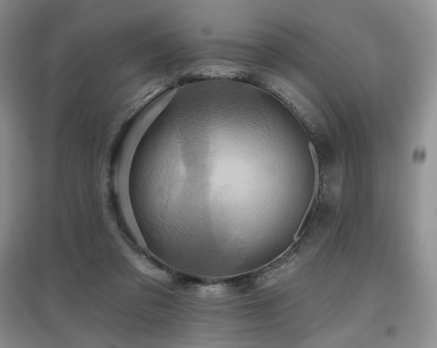 X0000097910309200803141424